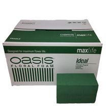 Oasis Ideal Maxlife Brik 20