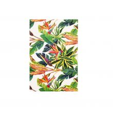 Kort Oasis Dubbel  Strelitzia